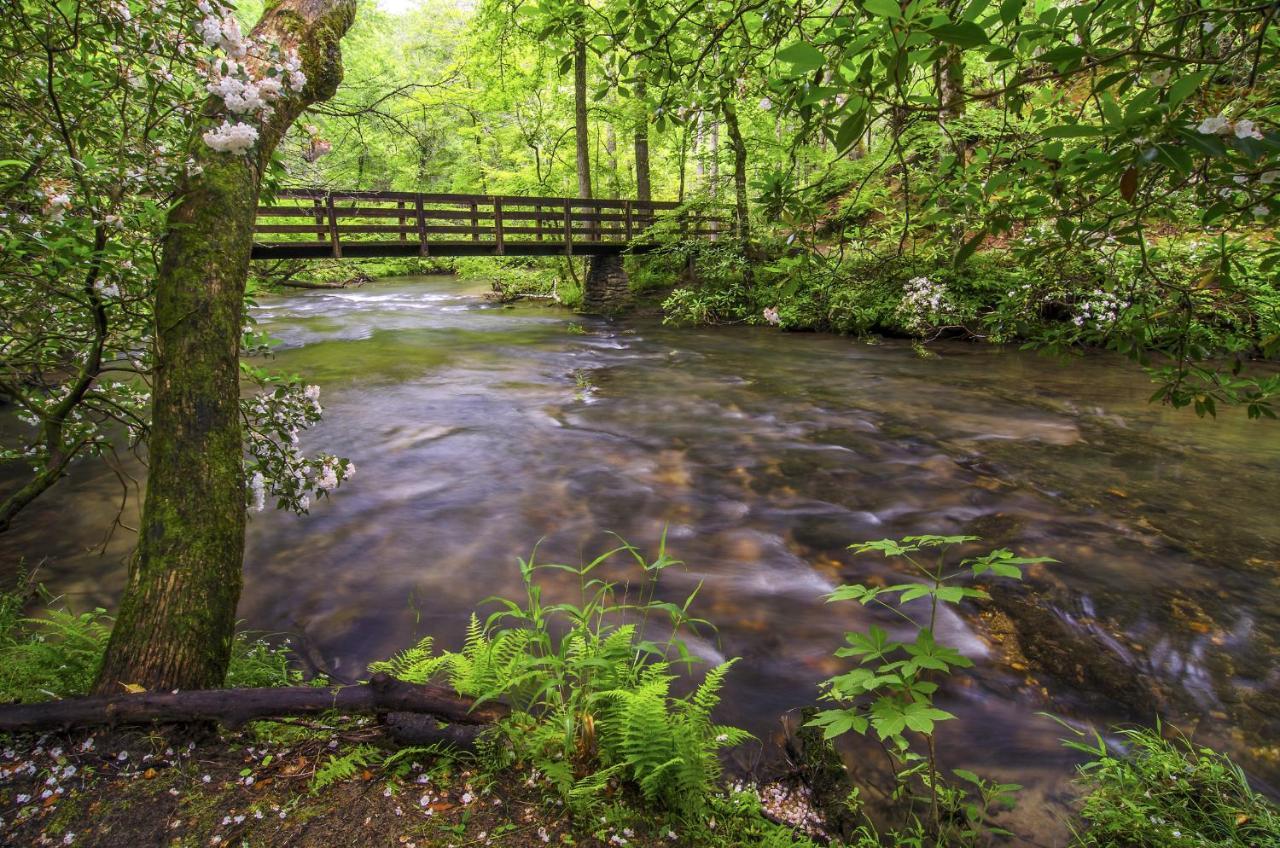 Bear Tracks, 2 Bedrooms, Hot Tub, Fireplace, Wifi, Jetted Tub, Sleeps 6 개틀린버그 외부 사진